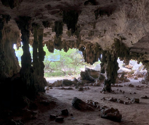 Ecologische waarde Bolivia Bonaire