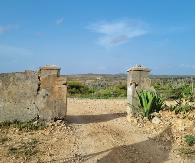 Visie van Bonaire Properties N.V. op de ontwikkeling van Landgoed Bolivia op Bonaire
