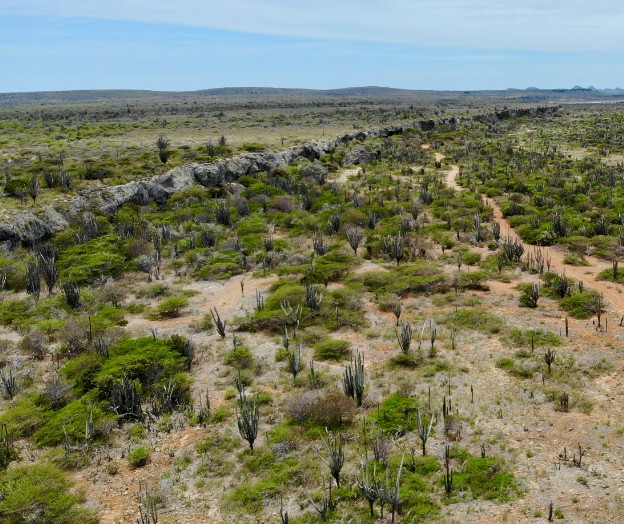 Landschappelijk wonen op Landgoed Bolivia op Bonaire