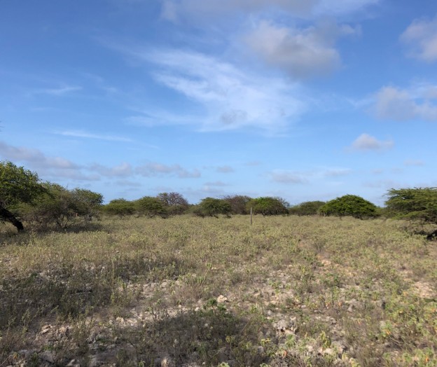 Wonen in het landschap op Landgoed Bolivia Bonaire