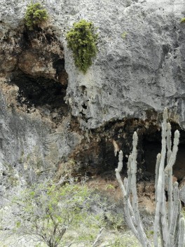 Ecotoerisme op Bolivia Bonaire